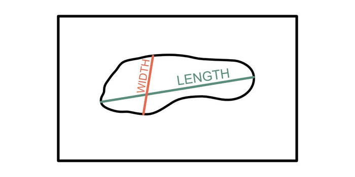 3. Measure length and width